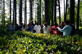 中非合作新篇章 青年科技人員共推生態(tài)環(huán)保與中草藥科技發(fā)展